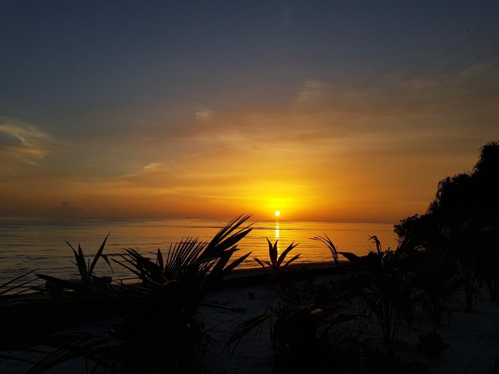 Island Guest Hotel Maamendhoo Exterior foto