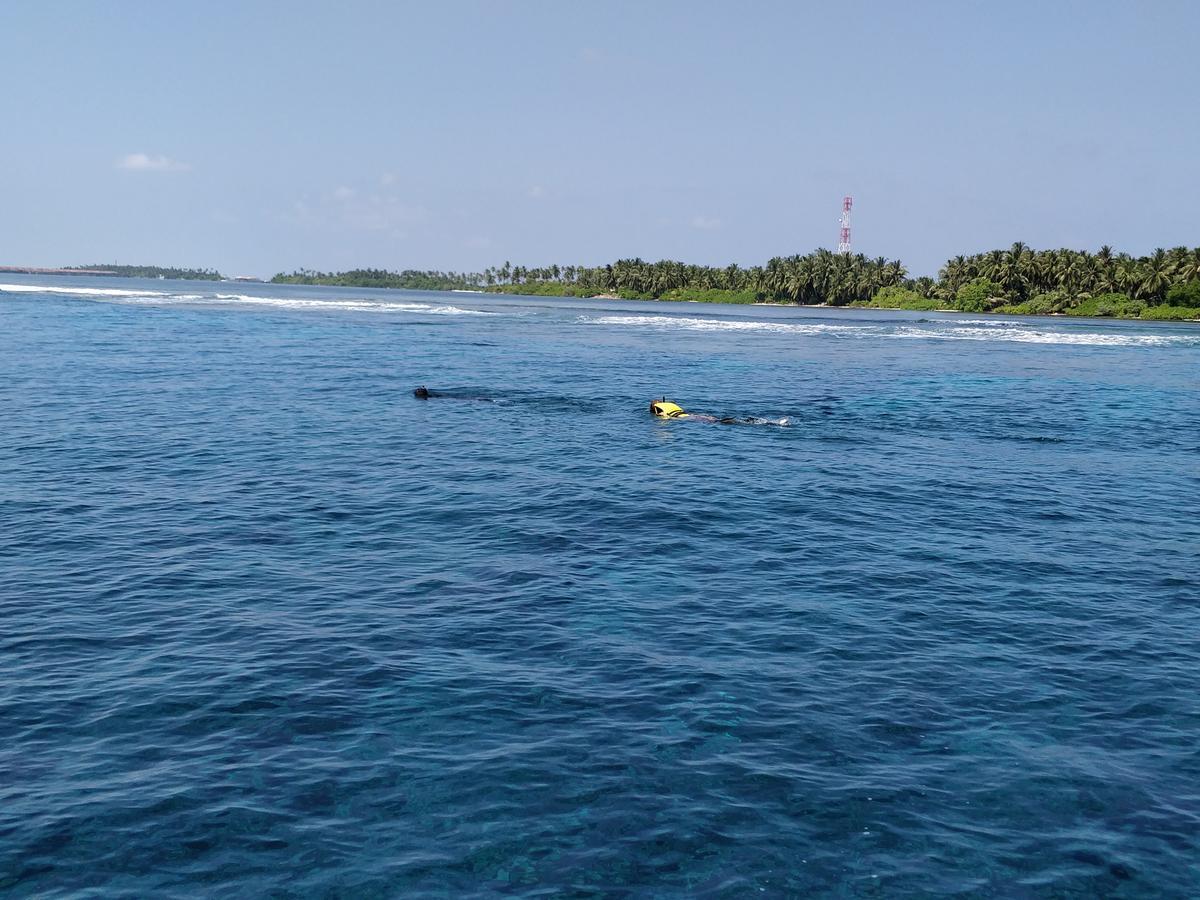 Island Guest Hotel Maamendhoo Exterior foto